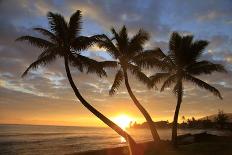 Sunset, Moorea, French Polynesia-Douglas Peebles-Loft Art