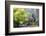 Douglas Squirrel standing on a log eating a nut.-Janet Horton-Framed Photographic Print