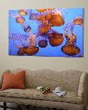 Old Water Vessels-Douglas Steakley-Framed Giclee Print