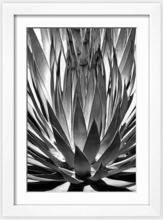 wo gibt es aloe vera saft nu3 Bio Aloe Vera Saft