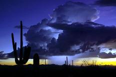 After the Rain I-Douglas Taylor-Photographic Print