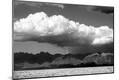 Photographic Print