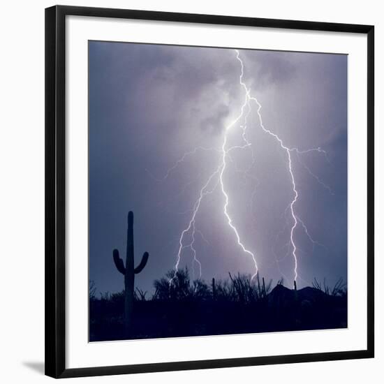 Photographic Print, , large