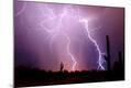 Premium Photographic Print