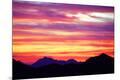 Photographic Print