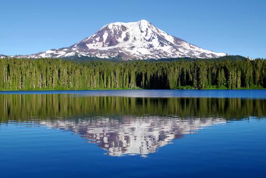 Premium Photographic Print, , large