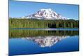 Photographic Print
