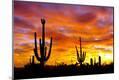 Photographic Print
