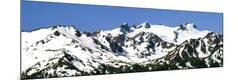 Premium Giclee Print