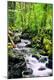 Premium Photographic Print