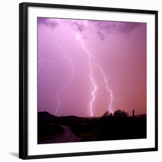 Photographic Print, , large