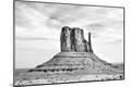 Photographic Print