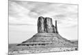 Photographic Print