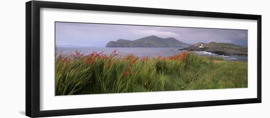 Doulus Bay and Doulus Head, Valentia Island, Ring of Kerry, Munster, Republic of Ireland, Europe-Patrick Dieudonne-Framed Photographic Print