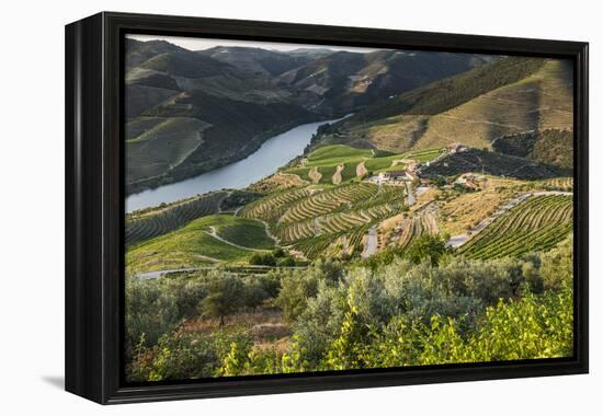 Douro Valley, Douro River, Porto. Valley Is Lined with Steeply Sloping Hills and Vineyards-Emily Wilson-Framed Premier Image Canvas