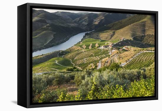 Douro Valley, Douro River, Porto. Valley Is Lined with Steeply Sloping Hills and Vineyards-Emily Wilson-Framed Premier Image Canvas