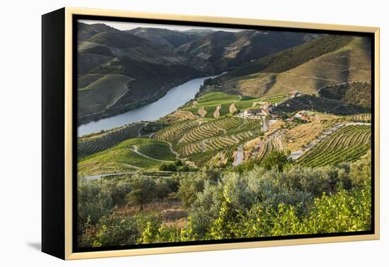 Douro Valley, Douro River, Porto. Valley Is Lined with Steeply Sloping Hills and Vineyards-Emily Wilson-Framed Premier Image Canvas