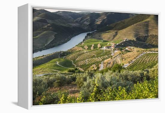 Douro Valley, Douro River, Porto. Valley Is Lined with Steeply Sloping Hills and Vineyards-Emily Wilson-Framed Premier Image Canvas