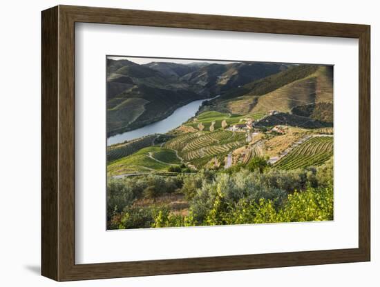 Douro Valley, Douro River, Porto. Valley Is Lined with Steeply Sloping Hills and Vineyards-Emily Wilson-Framed Photographic Print