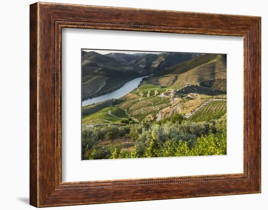 Douro Valley, Douro River, Porto. Valley Is Lined with Steeply Sloping Hills and Vineyards-Emily Wilson-Framed Photographic Print