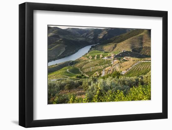 Douro Valley, Douro River, Porto. Valley Is Lined with Steeply Sloping Hills and Vineyards-Emily Wilson-Framed Photographic Print