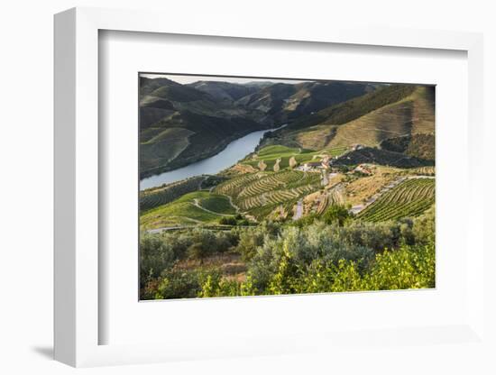 Douro Valley, Douro River, Porto. Valley Is Lined with Steeply Sloping Hills and Vineyards-Emily Wilson-Framed Photographic Print