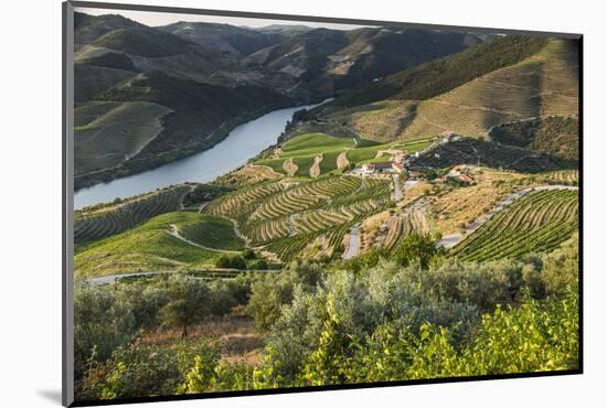 Douro Valley, Douro River, Porto. Valley Is Lined with Steeply Sloping Hills and Vineyards-Emily Wilson-Mounted Photographic Print