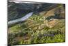 Douro Valley, Douro River, Porto. Valley Is Lined with Steeply Sloping Hills and Vineyards-Emily Wilson-Mounted Photographic Print