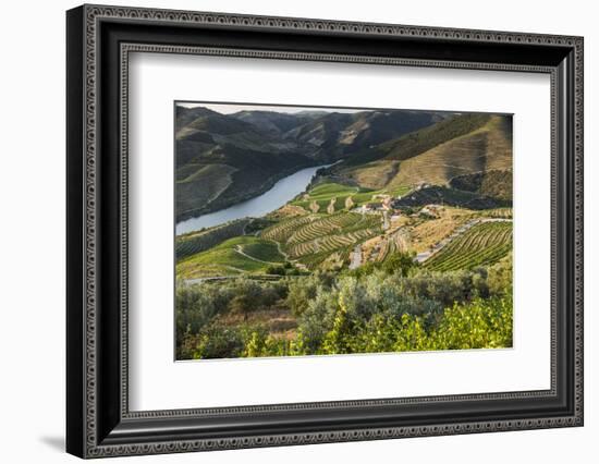 Douro Valley, Douro River, Porto. Valley Is Lined with Steeply Sloping Hills and Vineyards-Emily Wilson-Framed Photographic Print