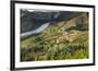 Douro Valley, Douro River, Porto. Valley Is Lined with Steeply Sloping Hills and Vineyards-Emily Wilson-Framed Photographic Print