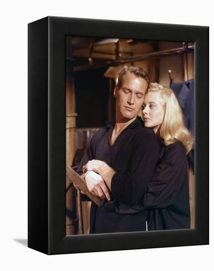 Doux oiseau by jeunesse SWEET BIRD OF YOUTH by RichardBrooks with Shirley Knight and Paul Newman, 1-null-Framed Stretched Canvas