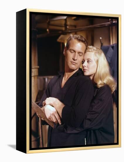 Doux oiseau by jeunesse SWEET BIRD OF YOUTH by RichardBrooks with Shirley Knight and Paul Newman, 1-null-Framed Stretched Canvas