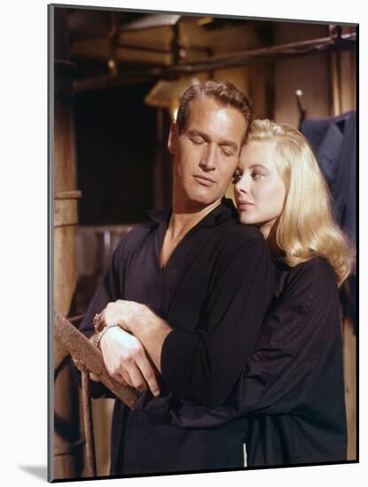 Doux oiseau by jeunesse SWEET BIRD OF YOUTH by RichardBrooks with Shirley Knight and Paul Newman, 1-null-Mounted Photo
