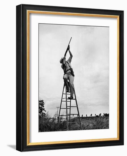 Dove Hunt in Texas-Ralph Crane-Framed Photographic Print