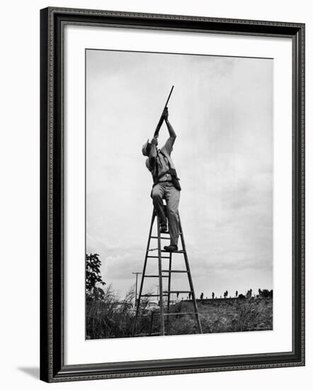 Dove Hunt in Texas-Ralph Crane-Framed Photographic Print