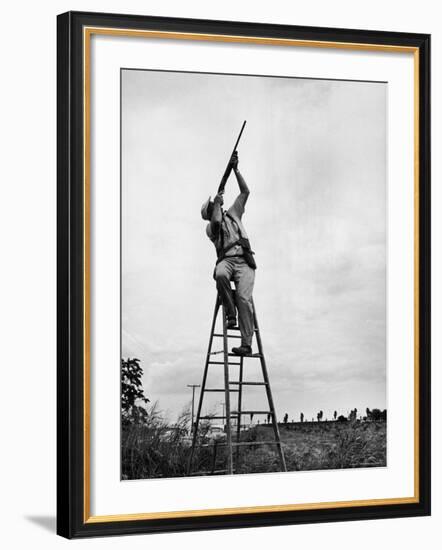 Dove Hunt in Texas-Ralph Crane-Framed Photographic Print