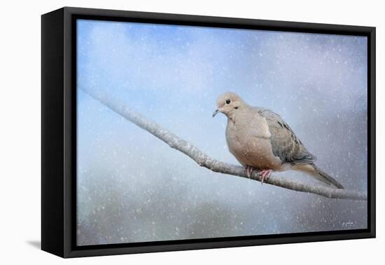 Dove in the Snow-Jai Johnson-Framed Premier Image Canvas