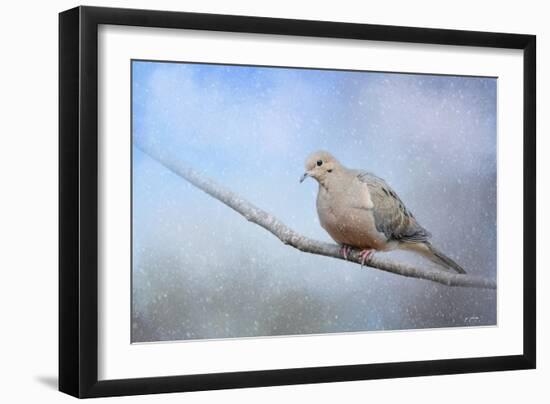 Dove in the Snow-Jai Johnson-Framed Giclee Print