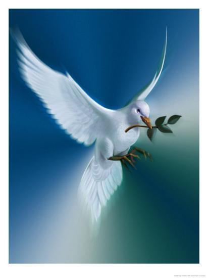 Dove Of Peace Art Print Art Com