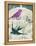 Dove Tales I-Piper Ballantyne-Framed Stretched Canvas