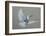 Dove-Banksy-Framed Art Print