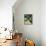 Dovecote; Exotic-Marco Cazzulini-Framed Premier Image Canvas displayed on a wall