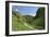 Dovedale, Derbyshire-Peter Thompson-Framed Photographic Print