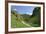 Dovedale, Derbyshire-Peter Thompson-Framed Photographic Print