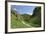 Dovedale, Derbyshire-Peter Thompson-Framed Photographic Print