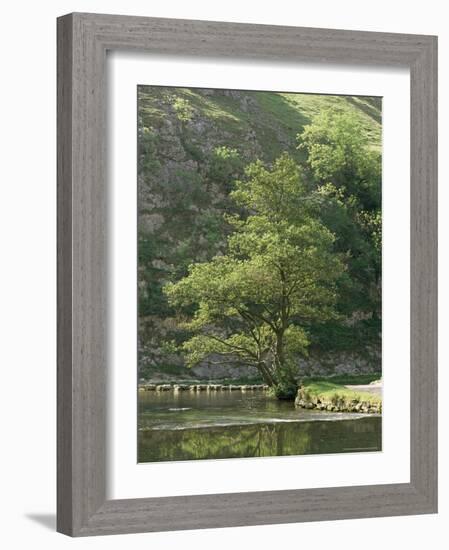 Dovedale (Dove Dale), Derbyshire, England, United Kingdom-Michael Busselle-Framed Photographic Print