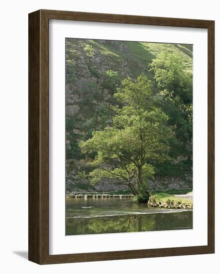 Dovedale (Dove Dale), Derbyshire, England, United Kingdom-Michael Busselle-Framed Photographic Print