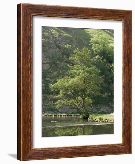 Dovedale (Dove Dale), Derbyshire, England, United Kingdom-Michael Busselle-Framed Photographic Print