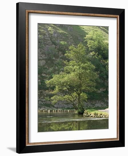 Dovedale (Dove Dale), Derbyshire, England, United Kingdom-Michael Busselle-Framed Photographic Print