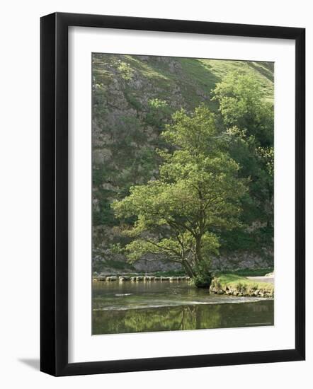 Dovedale (Dove Dale), Derbyshire, England, United Kingdom-Michael Busselle-Framed Photographic Print
